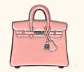 Birkin Bag - Pink